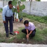 Tree Plantation in campus