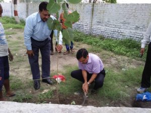 Read more about the article 1000 Trees Planted in the Premises of Paswara Papers Ltd