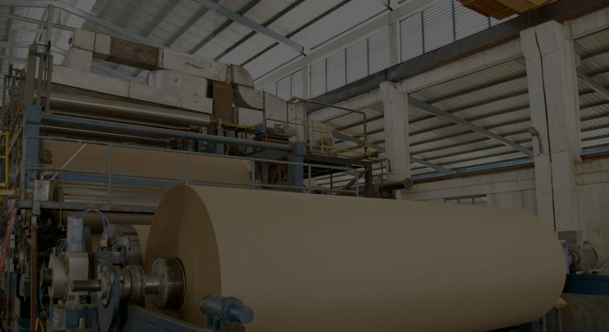 Paswara Papers Limited India's Leading Kraft Paper Manufacturers